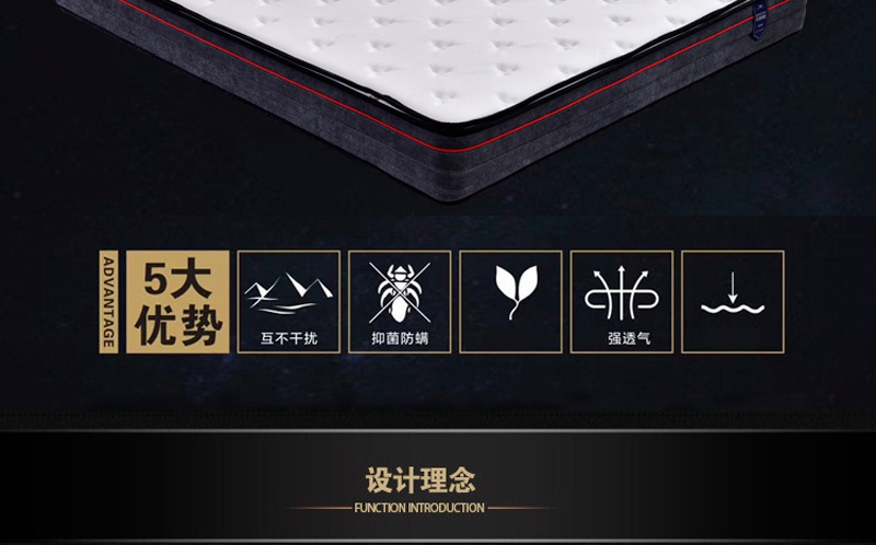 香蕉成人在线视频床垫Q101-_02.jpg